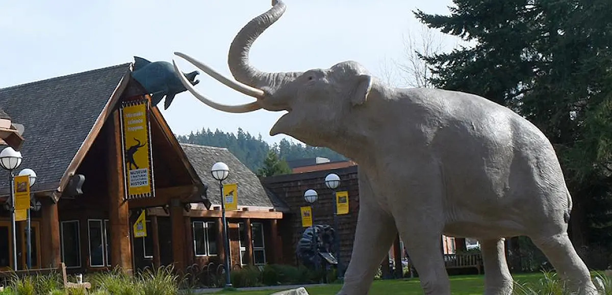 Museum of Natural and Cultural History